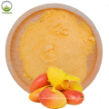 Wholesale 100% Pure Powder Mango Powder Price